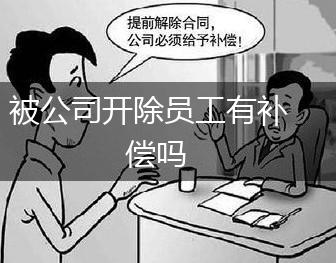 被公司开除员工有补偿吗,第1张