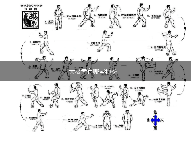 太极拳有哪些种类,第1张