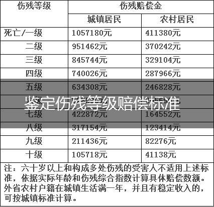 鉴定伤残等级赔偿标准,第1张