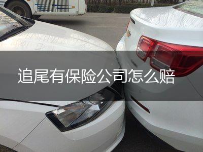 追尾有保险公司怎么赔,第1张