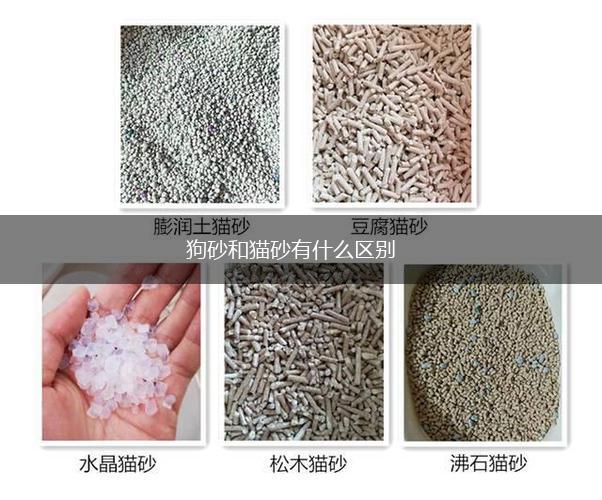 狗砂和猫砂有什么区别,第1张