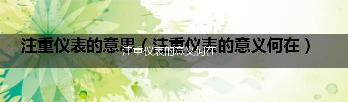 注重仪表的意义何在,第1张