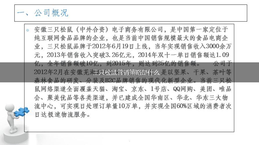 三只松鼠营销策略是什么,第1张