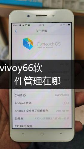 vivoy66软件管理在哪,第1张