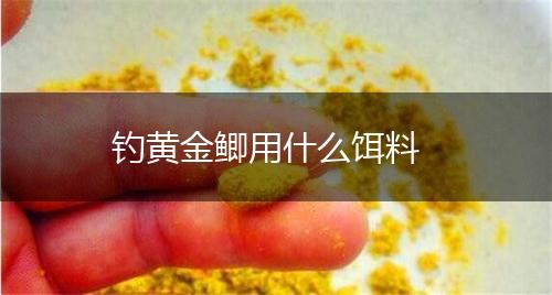 钓黄金鲫用什么饵料,第1张