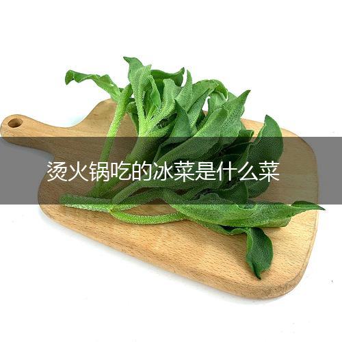 烫火锅吃的冰菜是什么菜,第1张