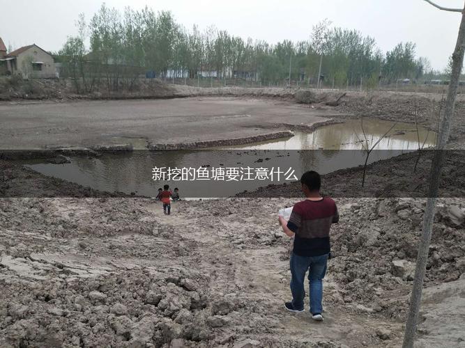 新挖的鱼塘要注意什么,第1张