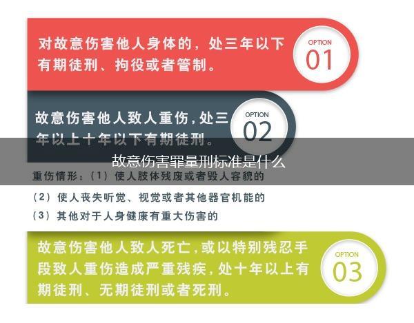 故意伤害罪量刑标准是什么,第1张