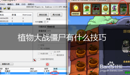 植物大战僵尸有什么技巧,第1张