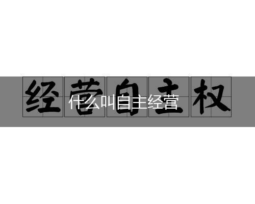 什么叫自主经营,第1张