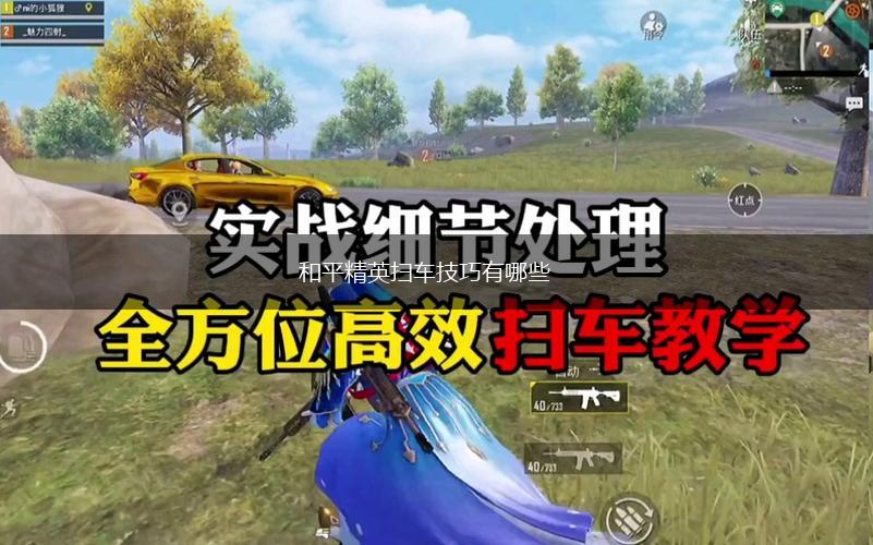 和平精英扫车技巧有哪些,第1张