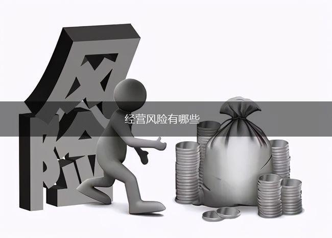 经营风险有哪些,第1张