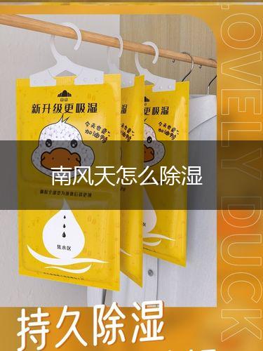 南风天怎么除湿,第1张