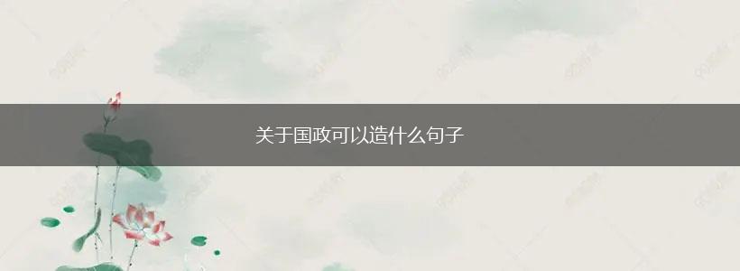 关于国政可以造什么句子,第1张