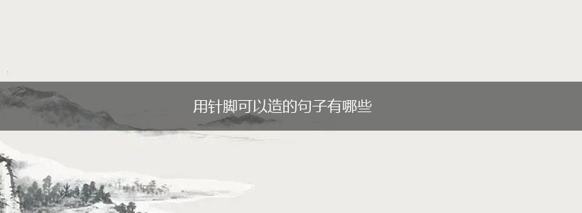 用针脚可以造的句子有哪些,第1张