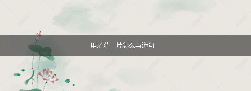 用茫茫一片怎么写造句,第1张