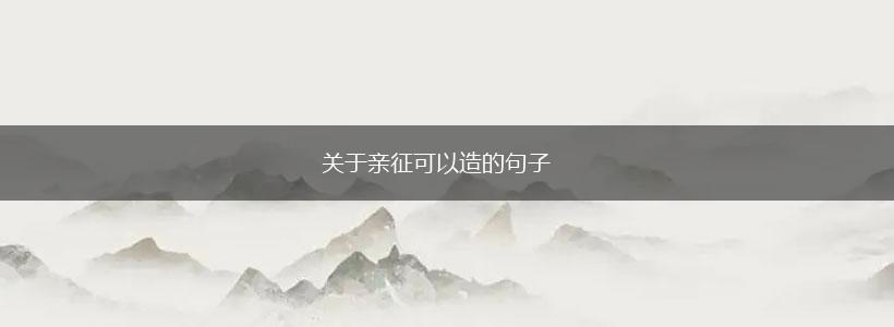 关于亲征可以造的句子,第1张