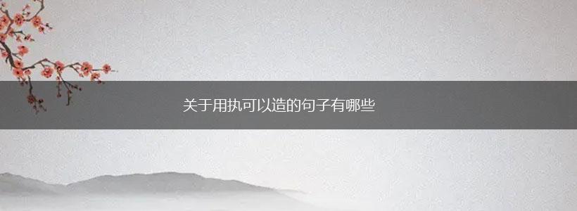 关于用执可以造的句子有哪些,第1张