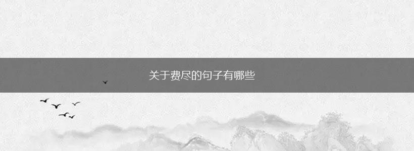 关于费尽的句子有哪些,第1张