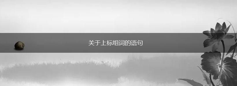 关于上标组词的语句,第1张