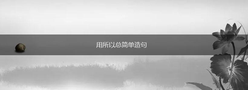 用所以总简单造句,第1张