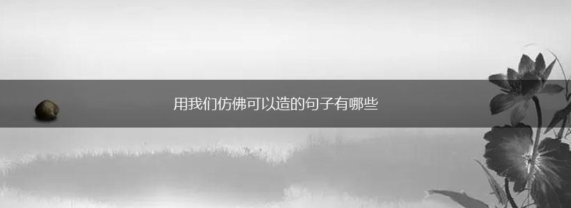 用我们仿佛可以造的句子有哪些,第1张