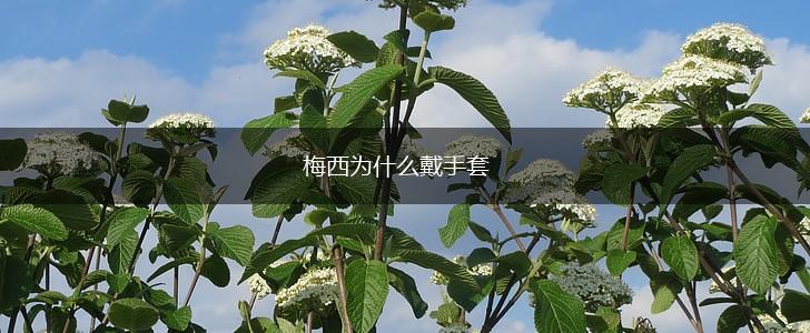 梅西为什么戴手套,第1张