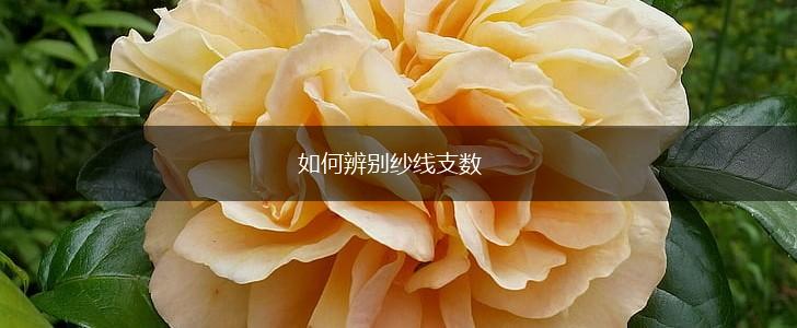如何辨别纱线支数,第1张