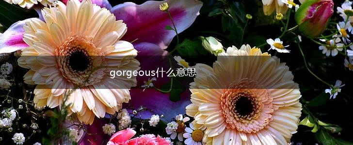 gorgeous什么意思,第1张