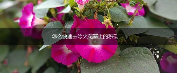 怎么快速去除火花塞上的积碳,第1张