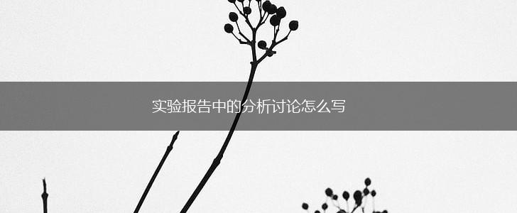 实验报告中的分析讨论怎么写,第1张