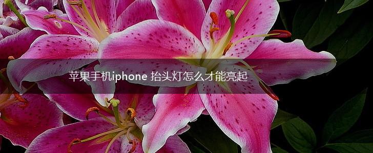 苹果手机iphone 抬头灯怎么才能亮起,第1张