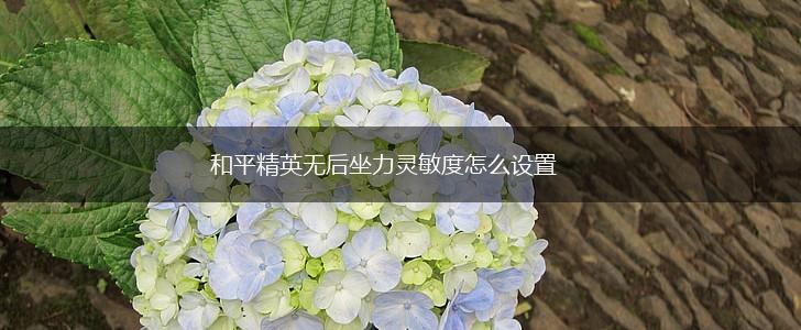 和平精英无后坐力灵敏度怎么设置,第1张