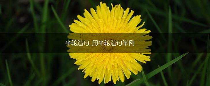 半轮造句_用半轮造句举例,第1张