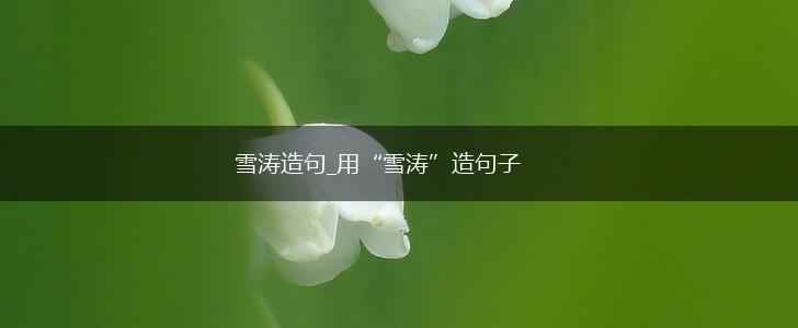 雪涛造句_用“雪涛”造句子,第1张
