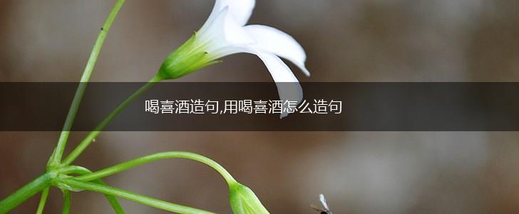 喝喜酒造句,用喝喜酒怎么造句,第1张