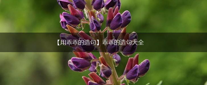 【用乖乖的造句】乖乖的造句大全,第1张