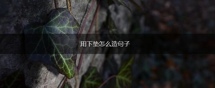 用下垫怎么造句子,第1张