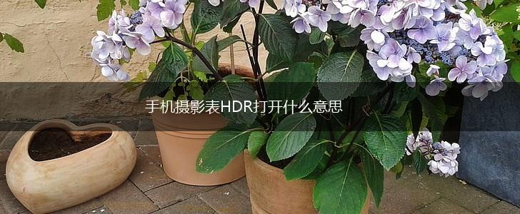 手机摄影表HDR打开什么意思,第1张