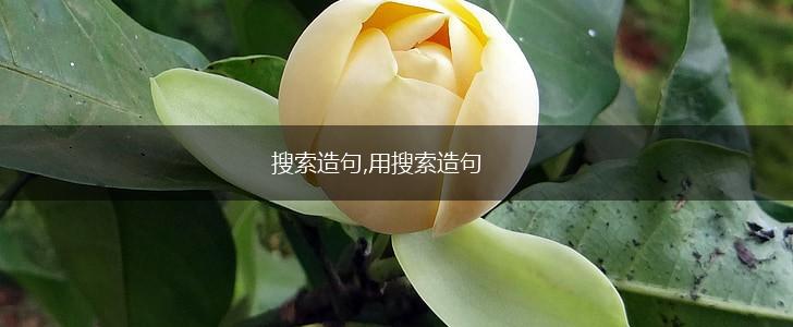 搜索造句,用搜索造句,第1张