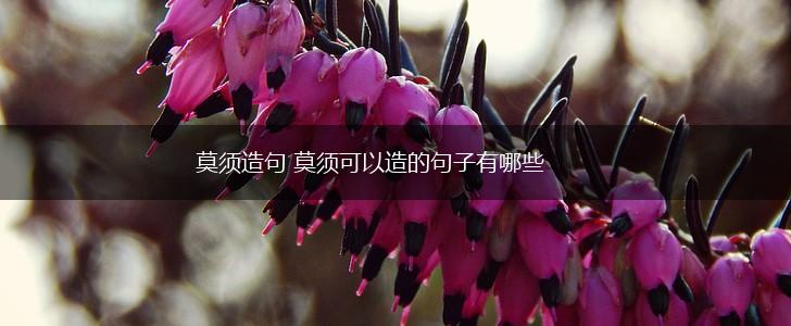 莫须造句 莫须可以造的句子有哪些,第1张