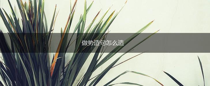 做势造句怎么造,第1张