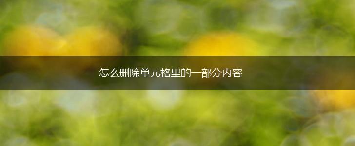 怎么删除单元格里的一部分内容,第1张