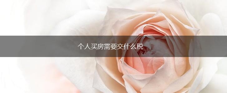 个人买房需要交什么税,第1张