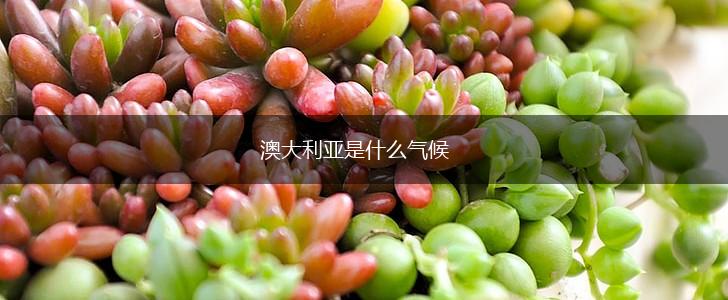 澳大利亚是什么气候,第1张