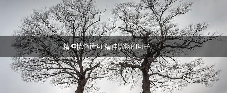 精神恍惚造句 精神恍惚的句子,第1张