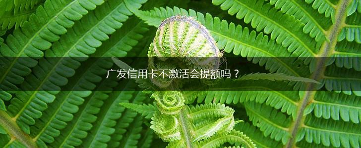 广发信用卡不激活会提额吗？,第1张