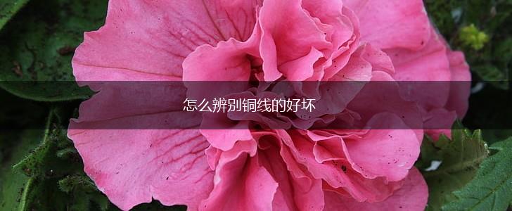 怎么辨别铜线的好坏,第1张