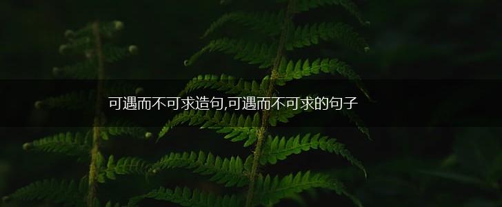 可遇而不可求造句,可遇而不可求的句子,第1张