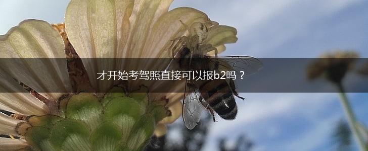 才开始考驾照直接可以报b2吗?,第1张 才开始考驾照直接可以报b2吗?,第1张